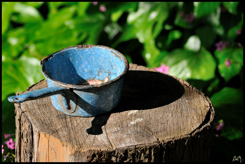 casserole-bleue-jardin1