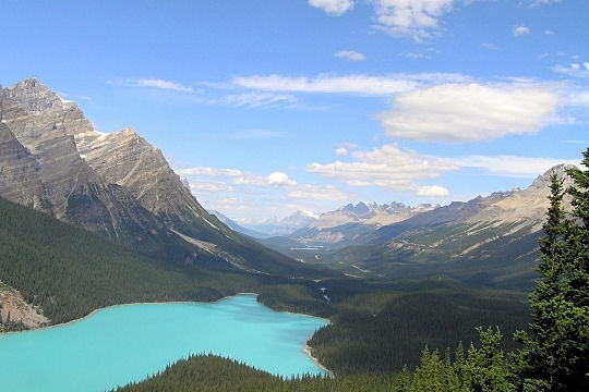 paysage-lac-peyto-canada