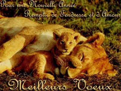 MEILLEURS VOEUX LIONS
